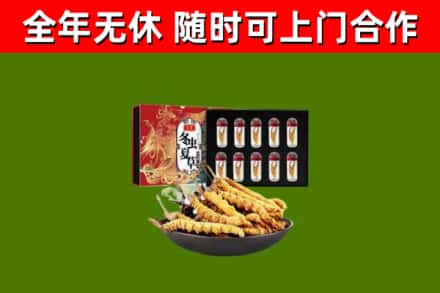 余杭烟酒回收冬虫夏草礼盒.jpg